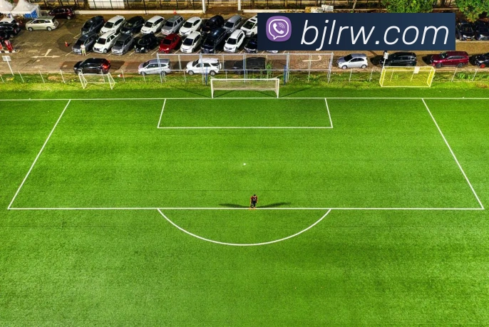 数据防护可视化